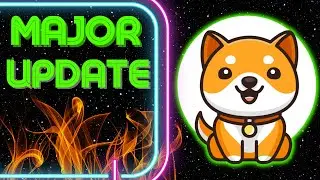 BABY DOGE COIN MAJOR UPDATE (Mystery Debunked!)