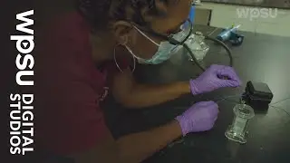 Harnessing solar power | Mission: Materials Science – Scientists in Action