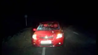 В Астраханской области верблюды затоптали легковой автомобиль