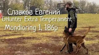 Малинуа Hunter Extra Temperament aka Флойд& Славков Евгений. Состязания мондьоринг 1, 186б.