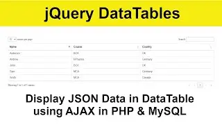 04 - How to display JSON Data in DataTable using AJAX in PHP and MySQL with Source Code