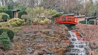 CINEMATIC VLOG eines wunderschönen JAPANISCHEN GARTEN