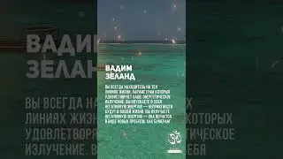 Вадим Зеланд. Мир становится тем хуже, чем хуже вы о нем думаете #shorts #shortsvideo #youtubeshorts
