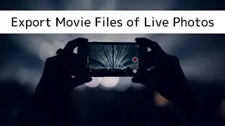 How to Export Movie Files of Live Photos?