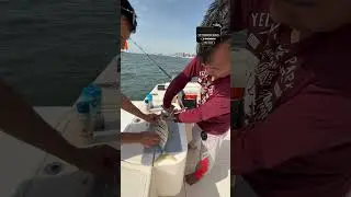 Dubai, UAE 🇦🇪 Странные у них рецепты, ну да ладно)