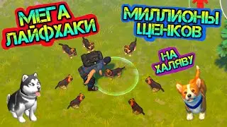 ТУЧИ ЩЕНКОВ НА ХАЛЯВУ ! МЕГА ЛАЙФХАКИ В ИГРЕ LAST DAY ON EARTH: SURVIVAL