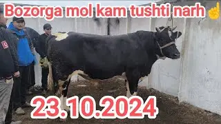 Toshkent vil Piskent tumani chorva mol bozori Buqalar Qatori 23.10.2024