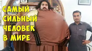 САМЫЙ СИЛЬНЫЙ ЧЕЛОВЕК В МИРЕ: ЭТОТ ЧЕЛОВЕК ВЕСИТ 430 КГ И ПОДНИМАЕТ 4500 КГ