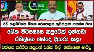 මේක පිටිපස්සෙ කපුටෙක් ඉන්නවා රනිල්ගෙ ඡන්දෙ දියාරු කළා