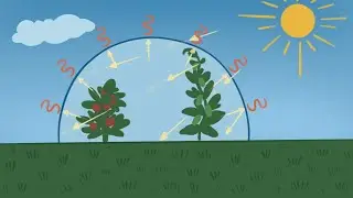 Вегетарий Воздушное отопление теплицы