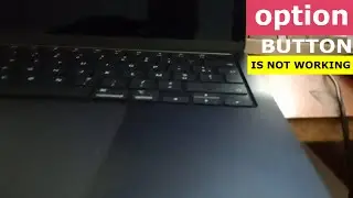 Mac New Model has failed to Show Boot Options? | This video is for You
