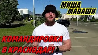 Командировка в Краснодар. \ Миша Маваши