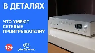 Не спотифаем единым. Что умеют сетевые проигрыватели?