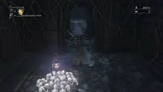 how to get free unlimited blood echoes in Bloodborne very fast