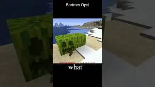 Minecraft, But you've never seen this before | Short