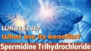 What is Spermidine Trihydrochloride and what are its benefits? |Spermidine Trihydrochloride supplier