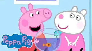 Peppa Pig Learns About Animals! 🐷🐠 | Peppa Pig Nursery Rhymes