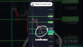 ЧТО БУДЕТ С MAJOR? 
