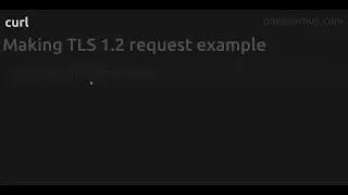 Making TLS 1.2 request example 