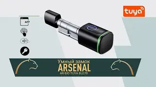 Умный цилиндр/замок Arsenal AR-BIO TUYA BLE70