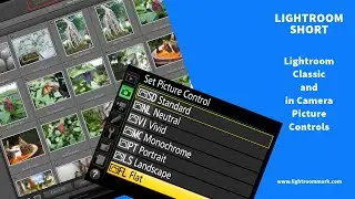 Using in Camera Picture Controls with Lightroom Classic