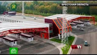Незадекларированная валюта в ПТО 