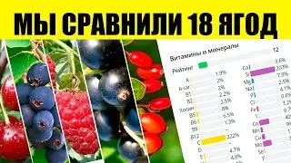 Find out the Most Healthy and Useless Berries