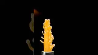 Brush Melting in Macro