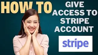 How to give access to STRIPE account l Double Z