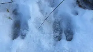 Рамешковский район. Поля, леса, дороги...