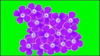 Free Flower Transition Green Screen Masters