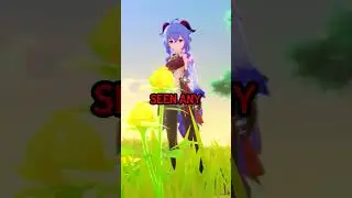 The Update Every Genshin Impact Player has Waited For... 
