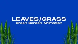 Best Green Screen Leaf Animation (Free Download)