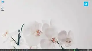 How to find the Steam folder on Windows 10