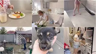 Пополнение 🐶 А судьи кто? 🕊️Преображение участка и уборка дома🏡