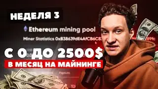 КАКОЙ ПАССИВНЫЙ ДОХОД У МАЙНИНГА СЕЙЧАС? | С нуля до $2500 в месяц на майнинге #3
