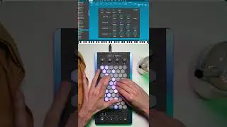 Exquis - @AodyoInstruments Anyma V "ReedWheeLeed" #preset #midi #synth #mpe #vstplugin #vst #plugin