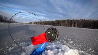 ХИТРАЯ ЩУКА ТРОЛЛИТ ПО КРУПНОМУ. НЕОДНОЗНАЧНАЯ РЫБАЛКА.