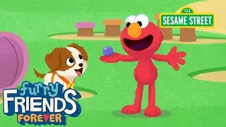 Sesame Street: Searching for a Mystery Toy | Elmo & Puppy Furry Friends Forever