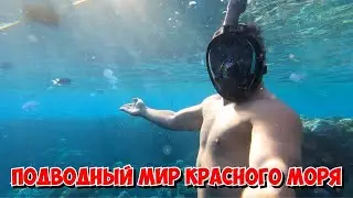 🔥Я В ШОКЕ ОТ ЭТОЙ КРАСОТЫ!