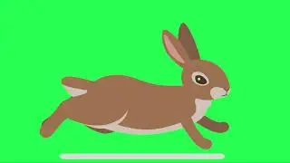 Rabbit Animation Green Screen | Chroma Key | Sky Fx