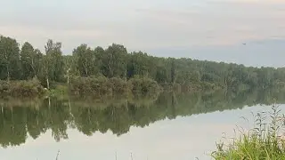 Рыбалка