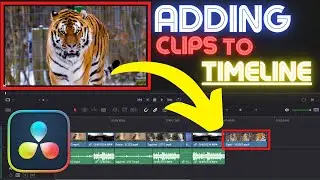 8 Ways to Add Clips to the Timeline: DaVinci Resolve