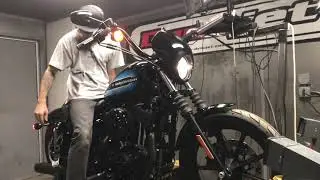 2018 Harley-Davidson Iron 1200 Dyno