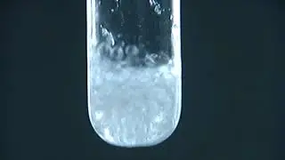 Реакция оксида фосфора с водой / Reacrion of phosphorous pentaoxide with water