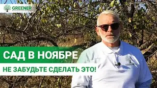 ЭТО НУЖНО СДЕЛАТЬ! Работы в саду в ноябре. Подготовьтесь к зиме правильно!