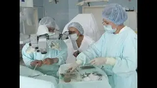 Наше здоровье от 10.08.18