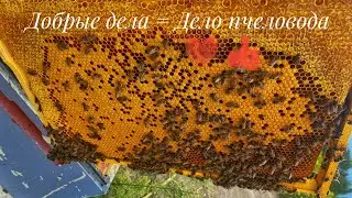 Вощина литая Магас !!! Мы испытали рекомендую