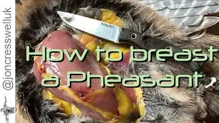 The BEST way to breast a Pheasant