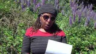 Lyzette Wanzer « The Write Stuff